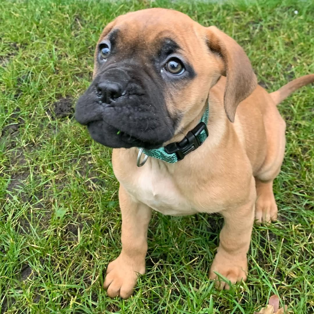 Meet Tavion - Image 3